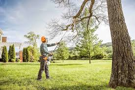 Lake Delta, NY Tree Removal Company